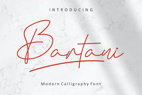 Bartani: A Refined Script for Real Brand Work