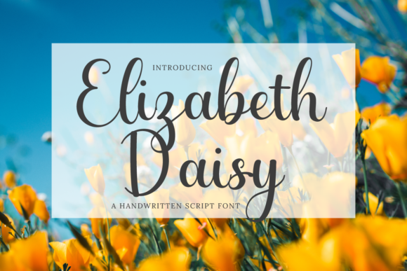 Elizabeth Daisy: A Script Font That Earns Its Place in Campaign Design