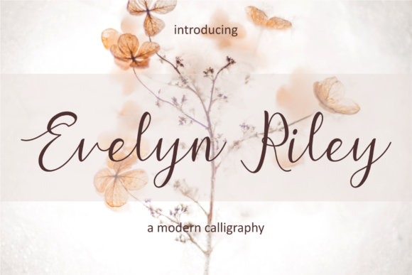 Evelyn Riley: A Designer’s Real-World Script Review