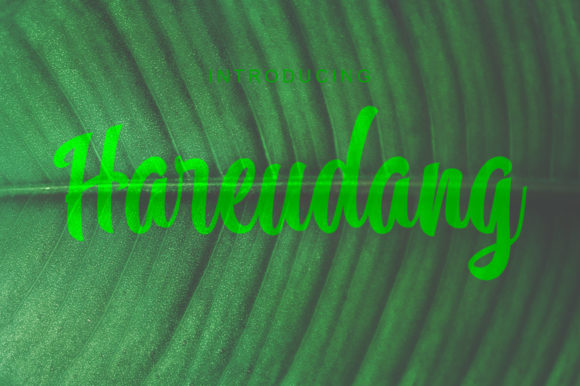 Hareudang: A Refined Script Font for Editorial Design