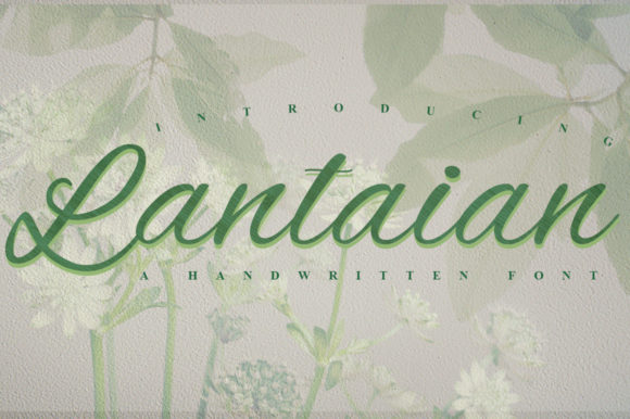 Lantaian: A Script Font That Earns Its Space in Real Campaigns