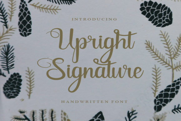 Upright Signature: A Designer’s Real-World Review