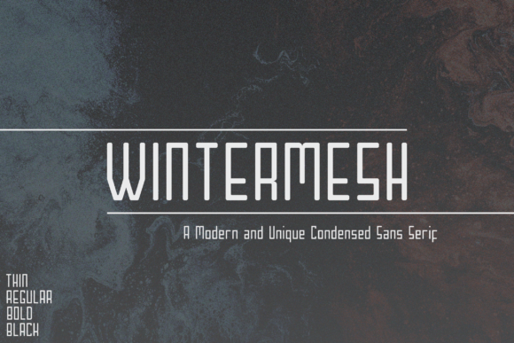 Wintermesh: A Modern Sans Serif Font for Digital Design